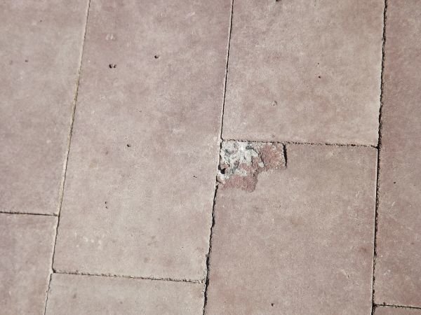 DSCF4954