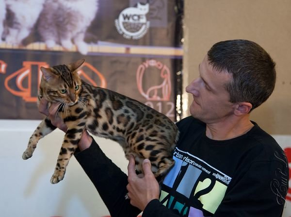 Felinus2012100802