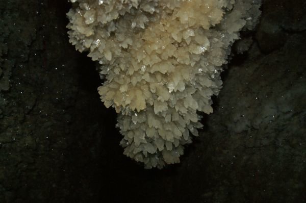 DSC07871