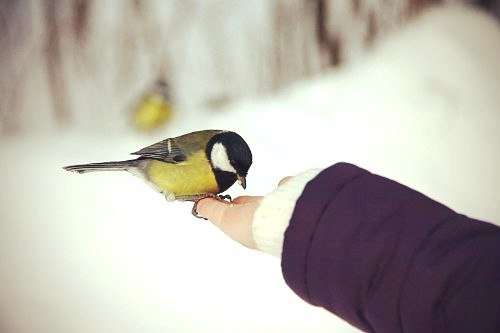 W8wMIehqo7E