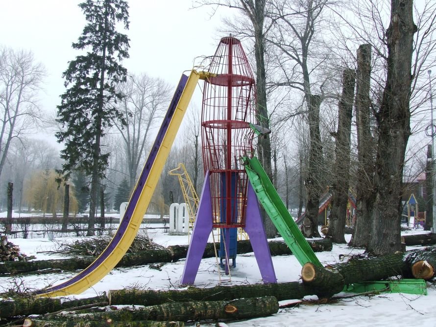 DSCF4174