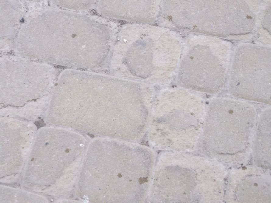 DSCF4481
