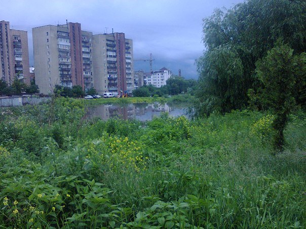 ozero - bam2 ozero - bam2