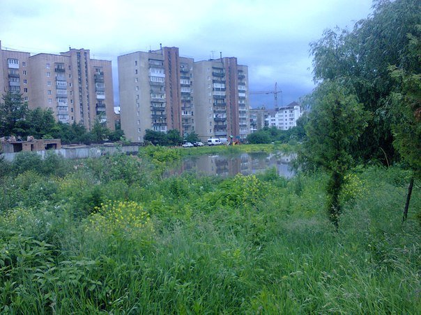 ozero - bam3 ozero - bam3