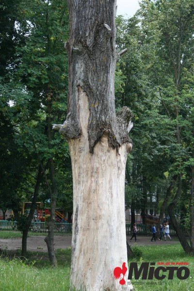 topili5