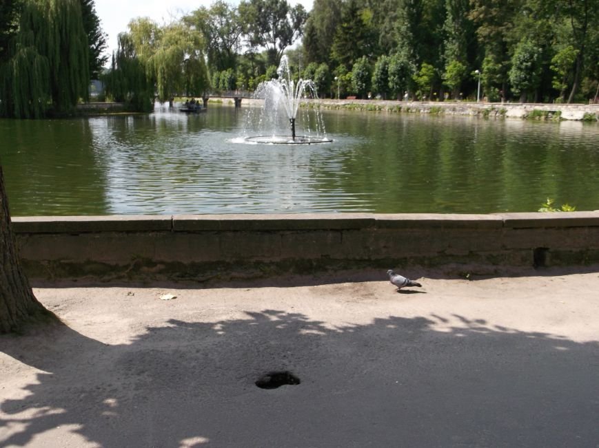 DSCF6656
