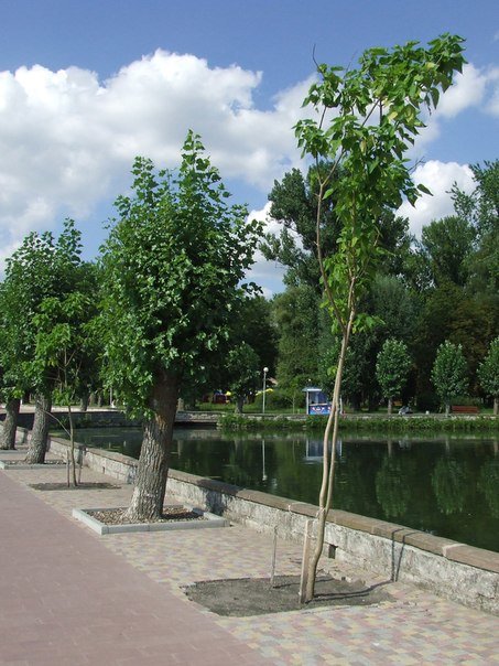 naberekna1