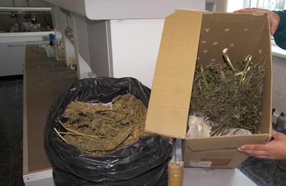 PM54image002