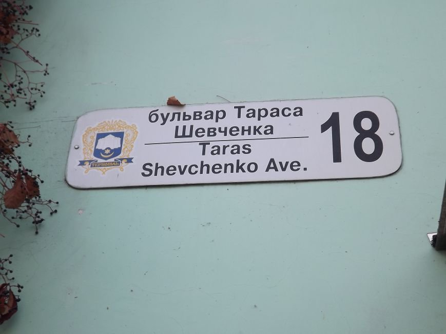 DSCF9570