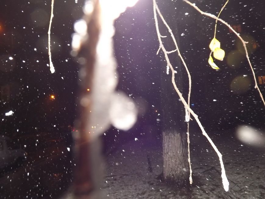 DSCF0233