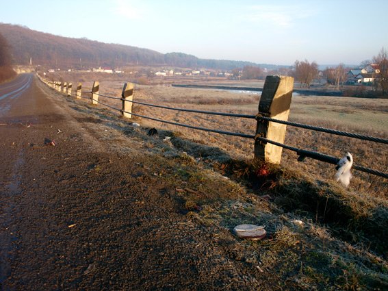 PM349image001