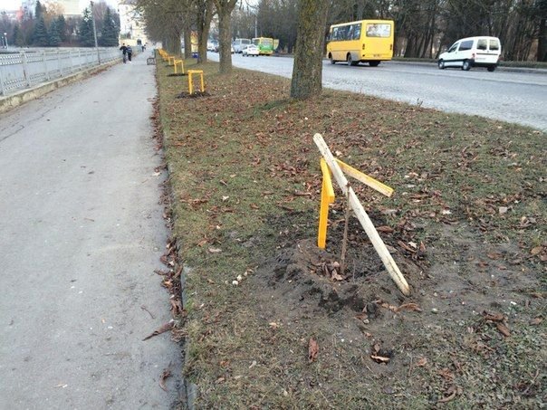 Біля Тернопільського озера вандали зламали парканчик, яким обгородили каштан (фото) - фото 1