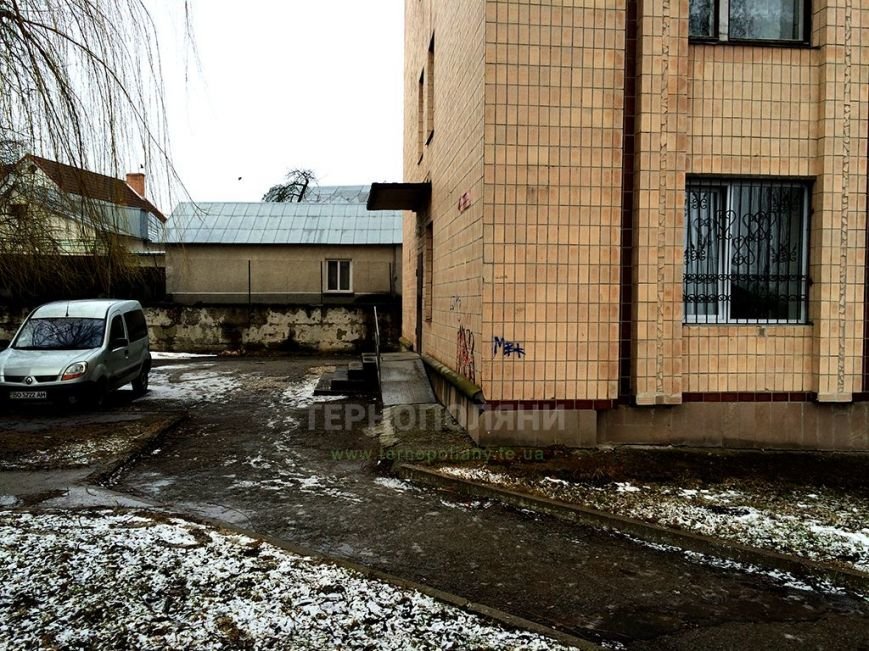 У Тернополі «під носом» у чиновників вже тиждень лежить здохла бородяча собака (фото) (фото) - фото 1