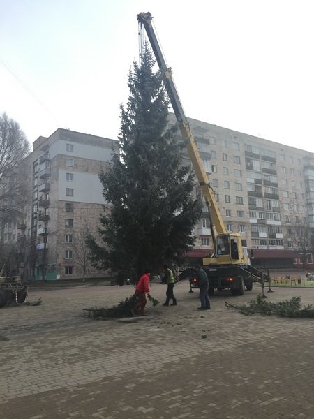 У Тернополі на бульварі Данила Галицького встановили новорічну красуню (фото) (фото) - фото 1