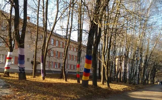 У Тернополі студенти одягнули дерева у різнокольорове «вбрання» (фото) (фото) - фото 1