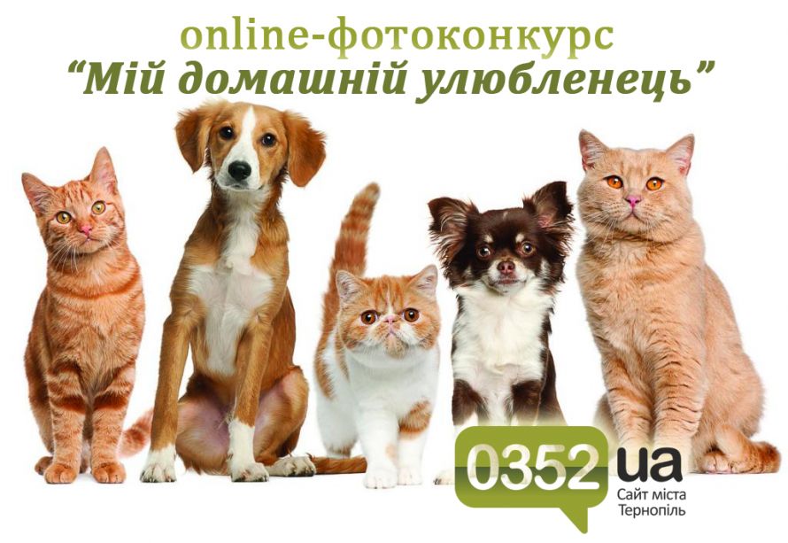 Мій домашній улюбленець