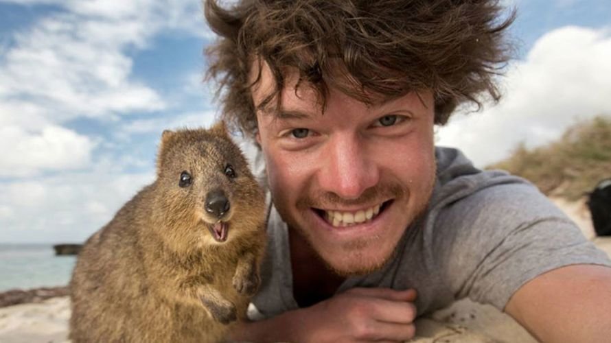 5511410-880-1450945704-funny-animal-selfies-allan-dixon-13