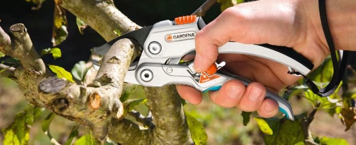 Tree_and_Shrub_Care-hedge_secateurs_02