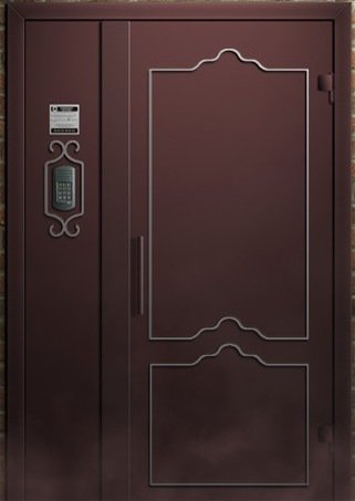 domofon_door_02